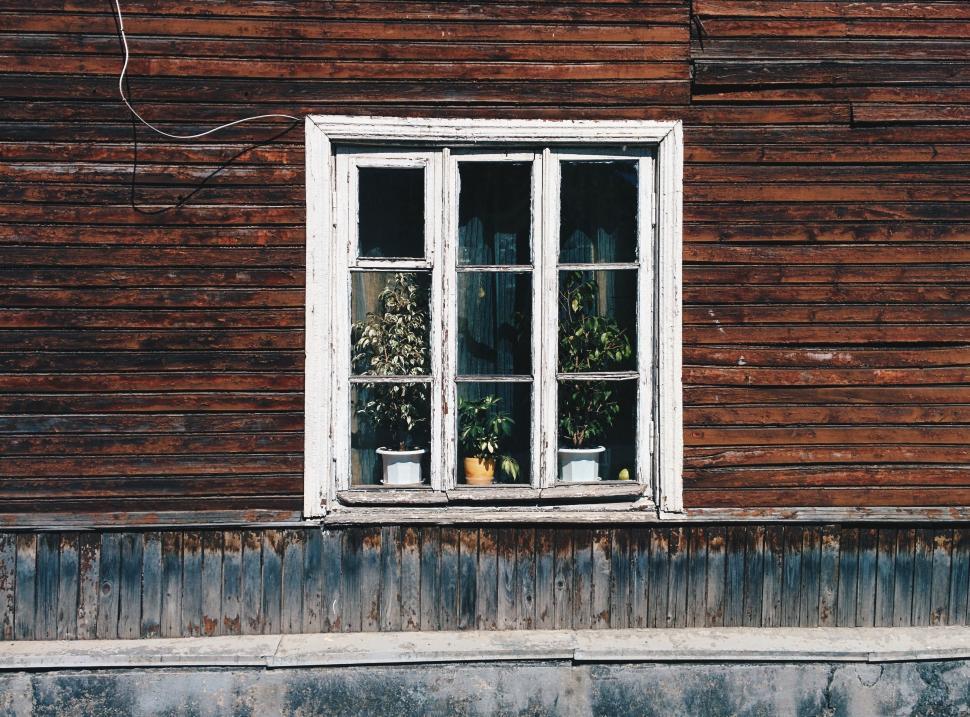 Free Image of Cat Sitting in the Window of a Wooden House 