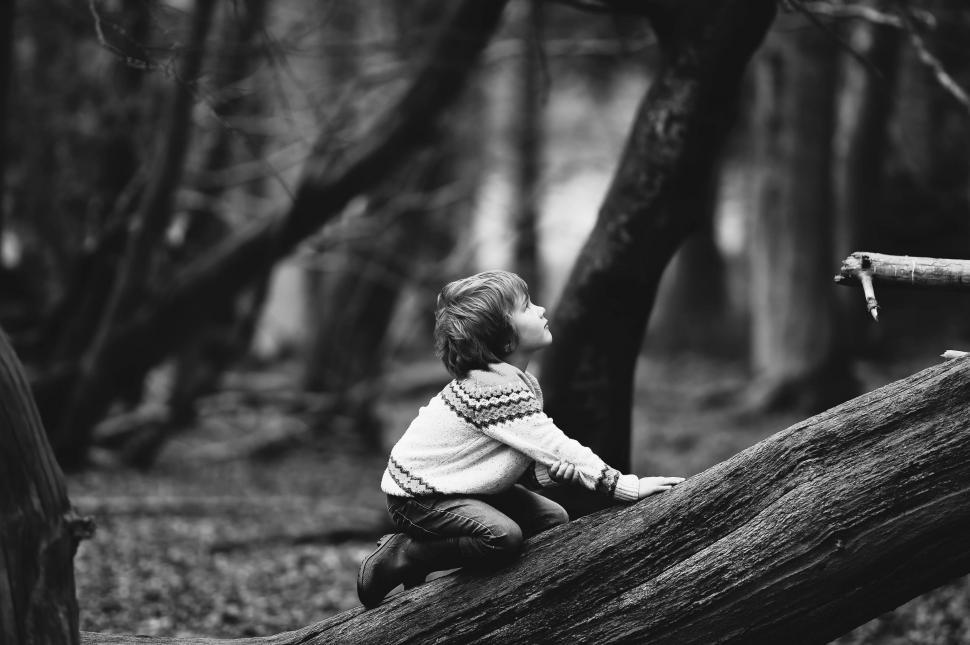 Free Image of Little Boy Sitting on Log in Woods 