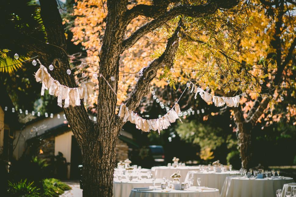 Free Image of Wedding Reception Table Set Up Under Tree 