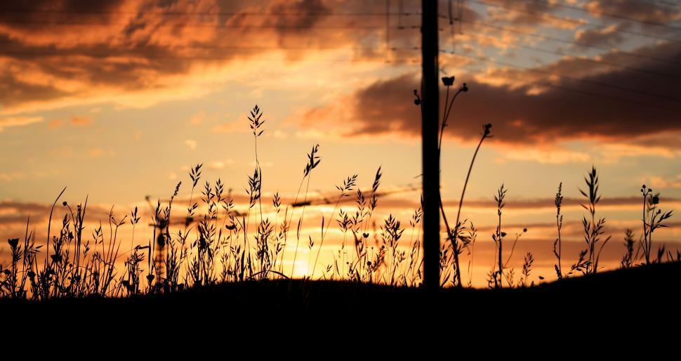 Free Image of Sun Setting Over Field With Tall Grass 