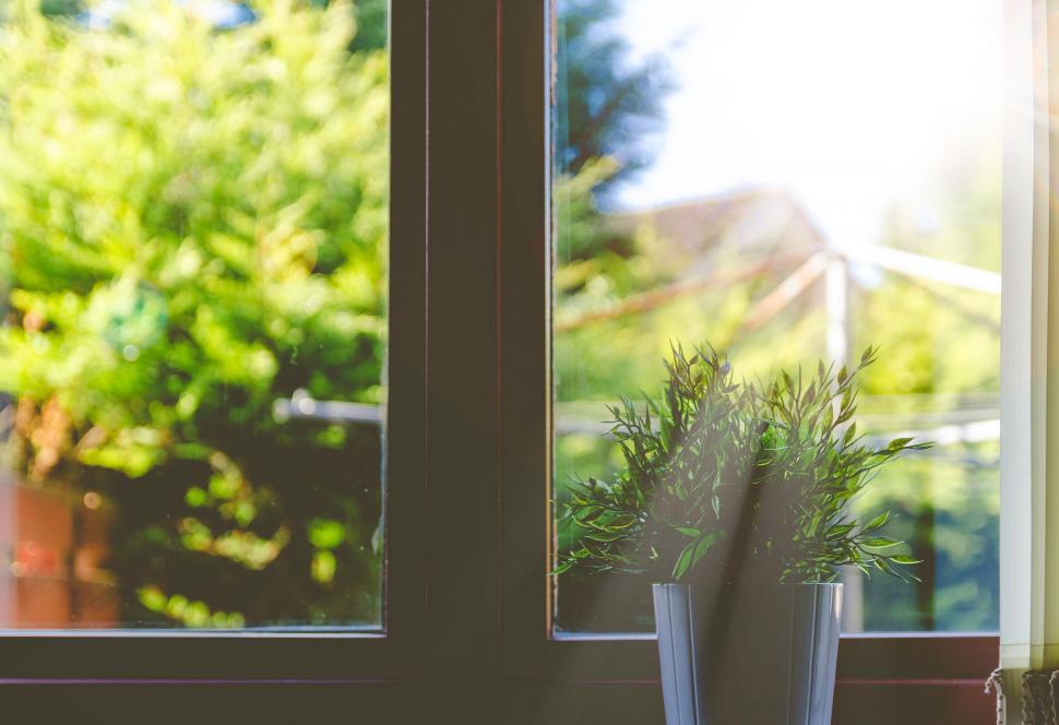 Free Image of Window Sill With Potted Plant 