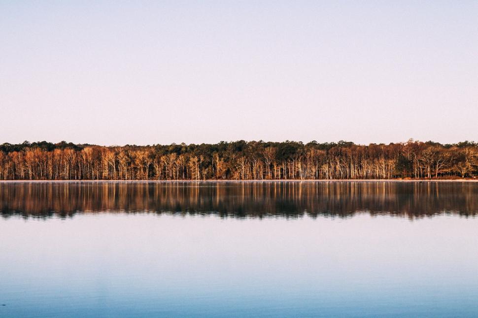 Free Image of Scenic Lake Surrounded by Trees 