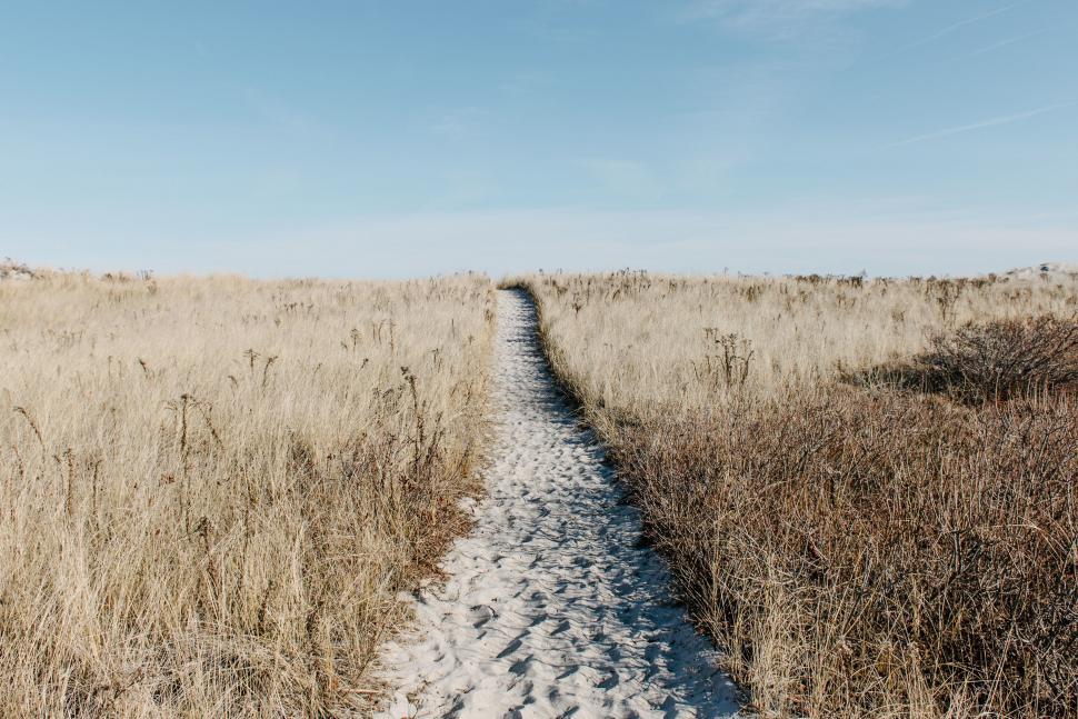 Free Image of Path Cutting Through Dry Grass Field 
