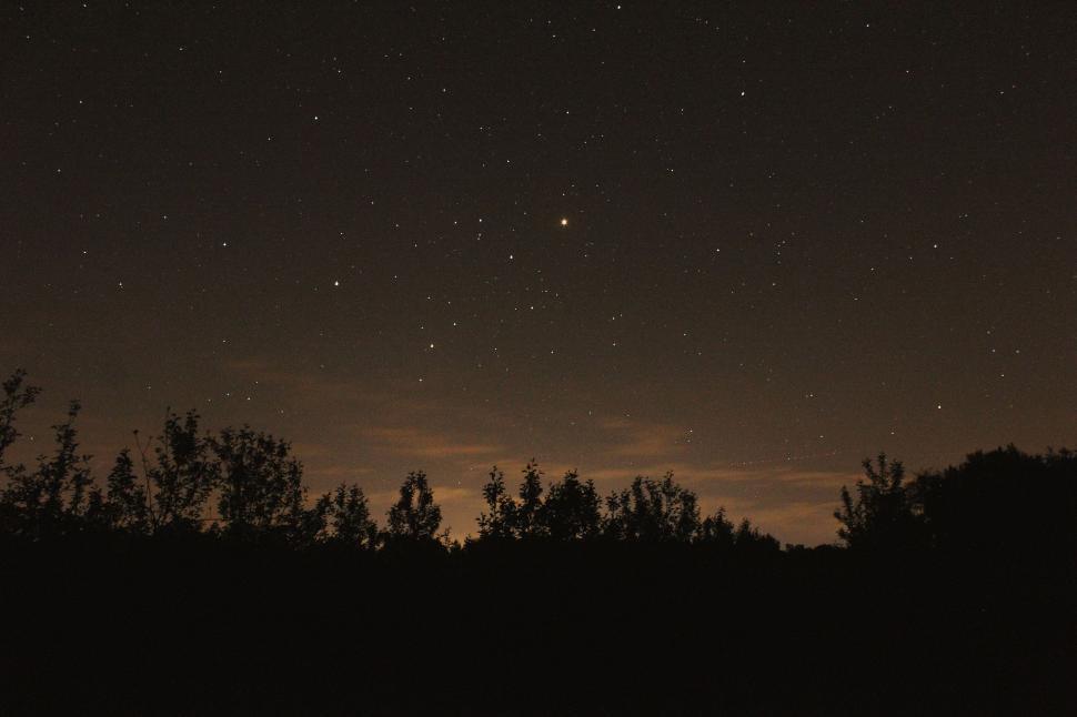 Free Image of Night Sky With a Few Stars Above Trees 