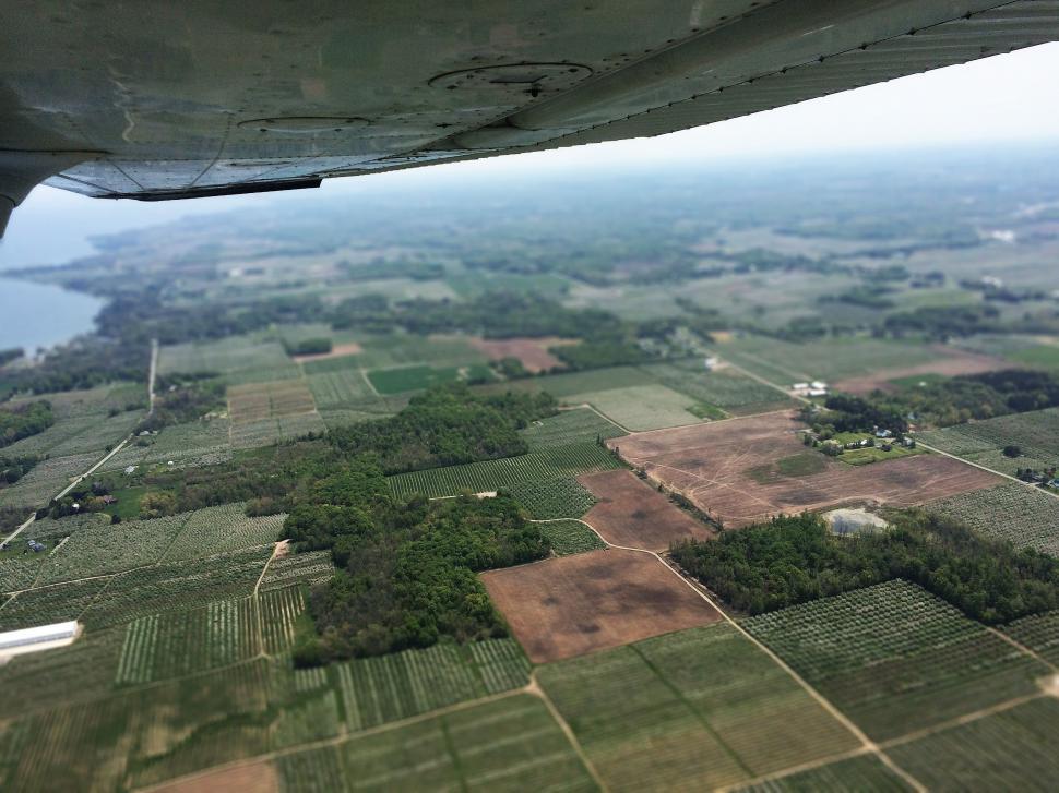 Free Image of Aerial View of Field and Trees 
