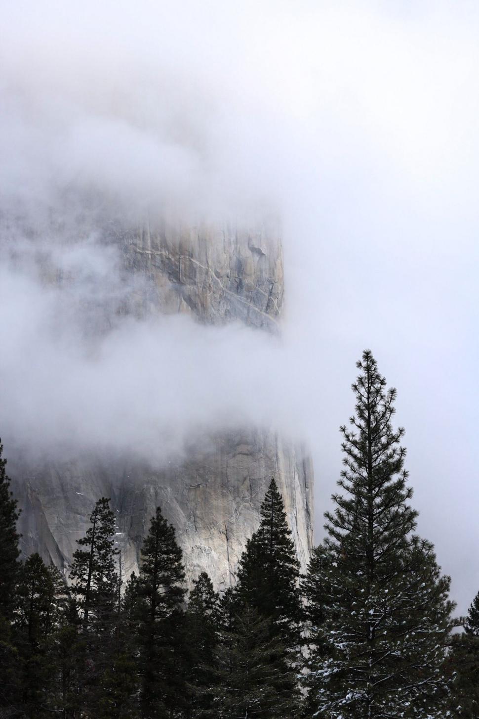 Free Image of Mountain Shrouded in Fog and Clouds Beside Trees 