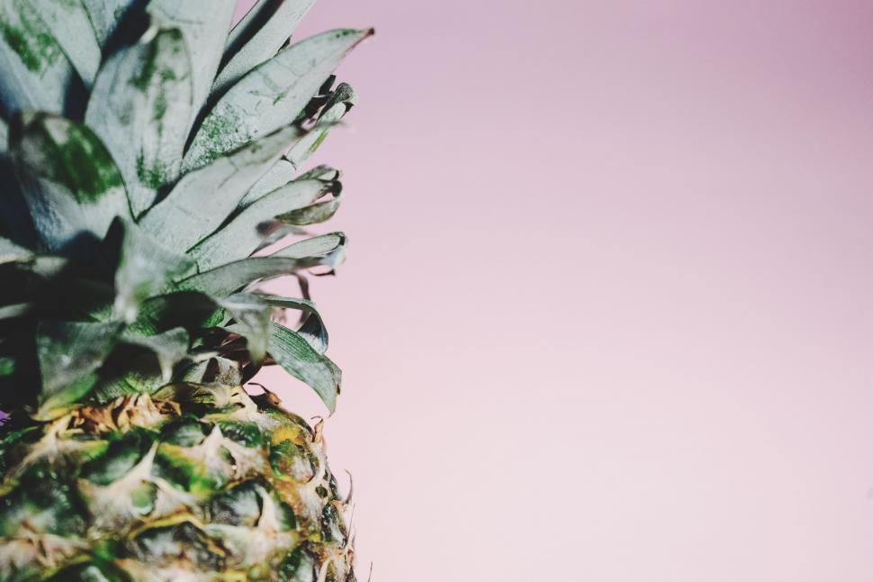 Free Image of Close Up of a Pineapple on a Pink Background 