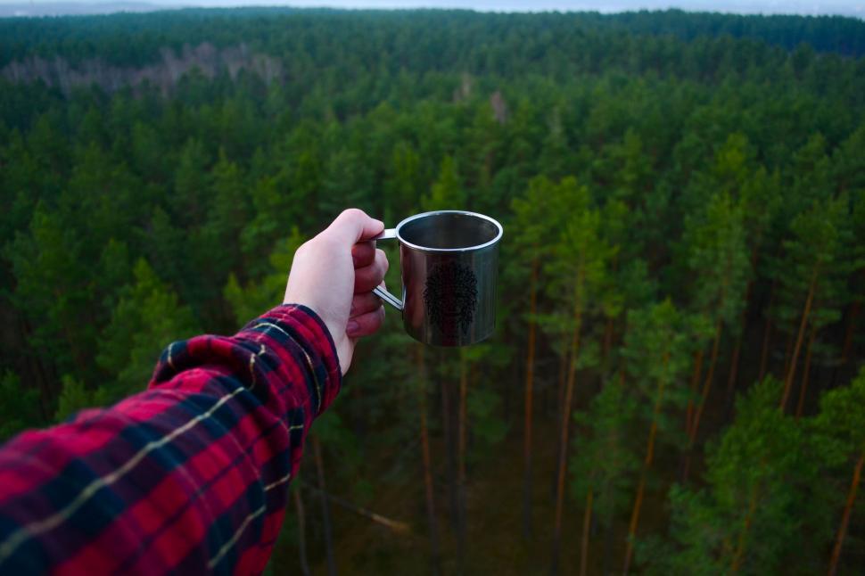 Free Image of Person Holding Coffee Cup in Forest 