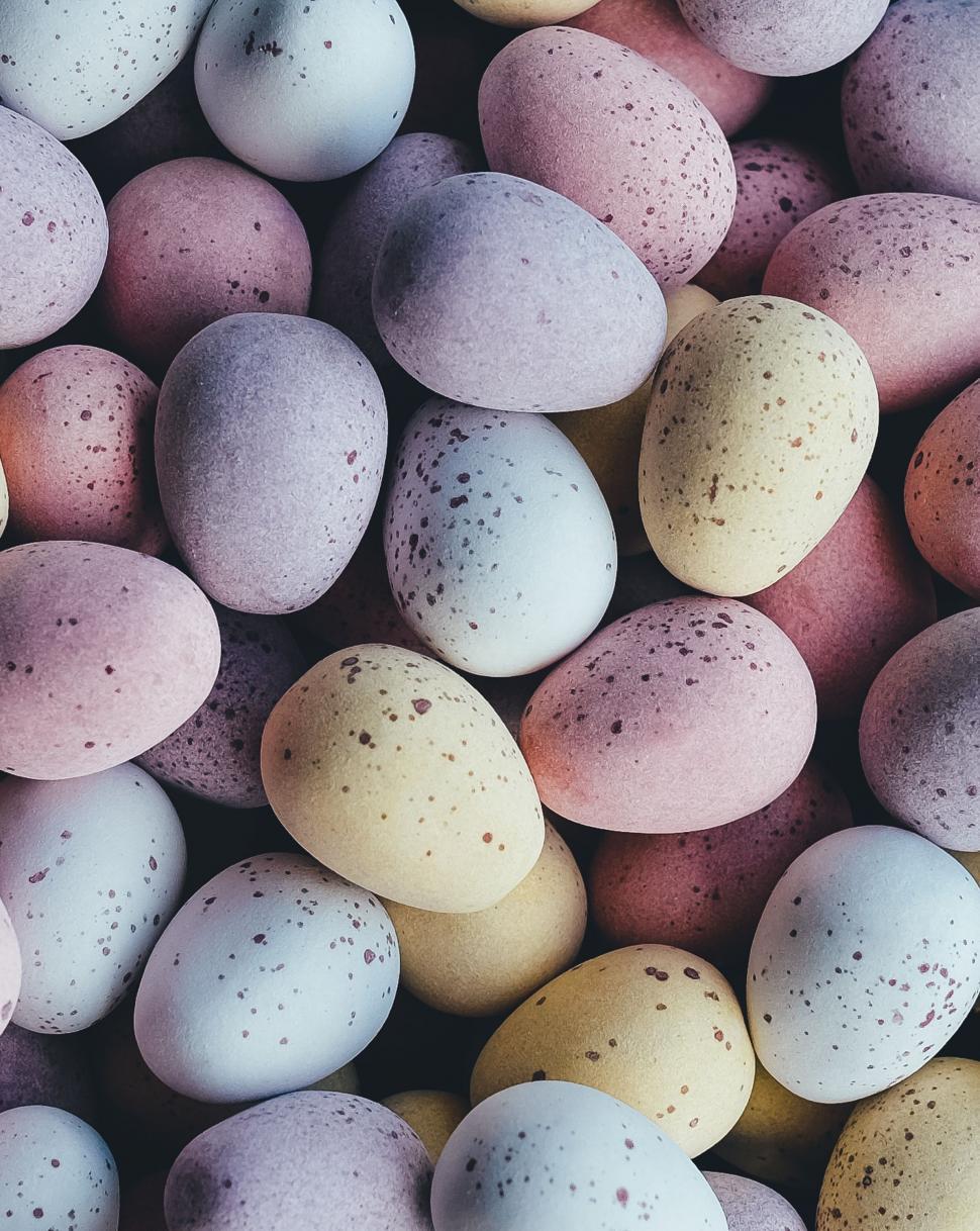 Free Image of Close Up of Multicolored Eggs 