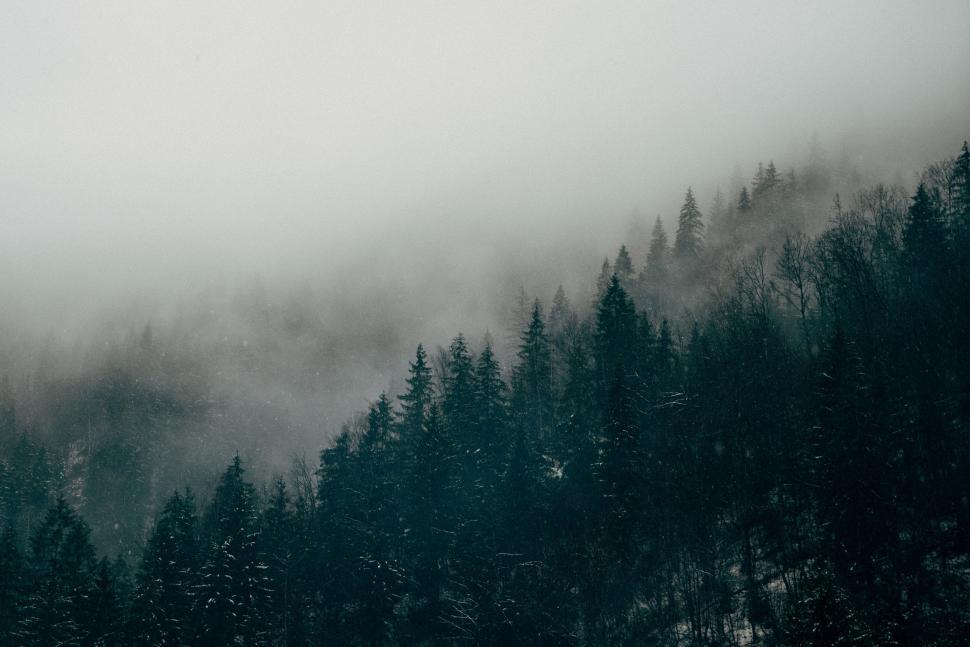 Free Image of Foggy Mountain With Trees 