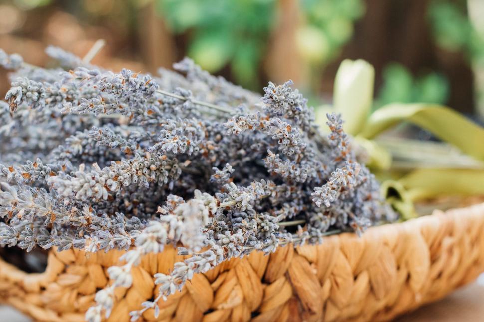 Free Image of Basket Filled With Lavender on Table 