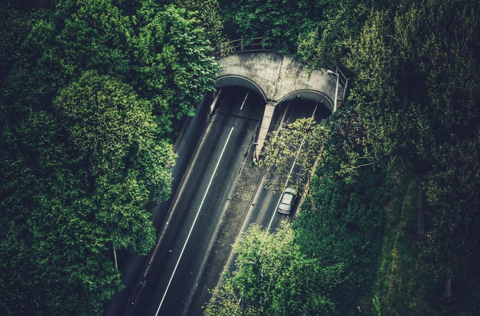 Free Image of Aerial View of Train Track Surrounded by Trees 
