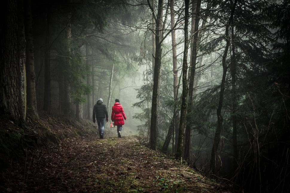 Free Image of Two People Walking Down a Trail in the Woods 
