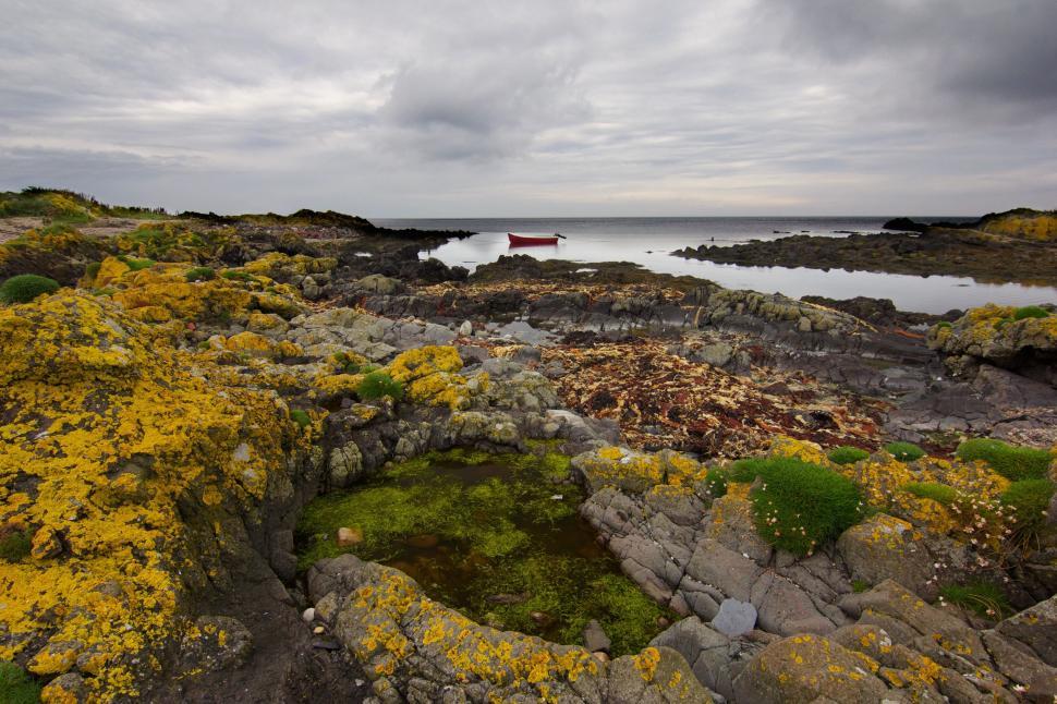 Free Image of Moss-Covered Rocky Shore 