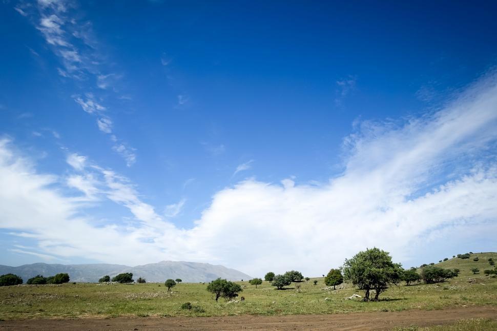 Free Image of Grassy Field With Trees and Blue Sky 