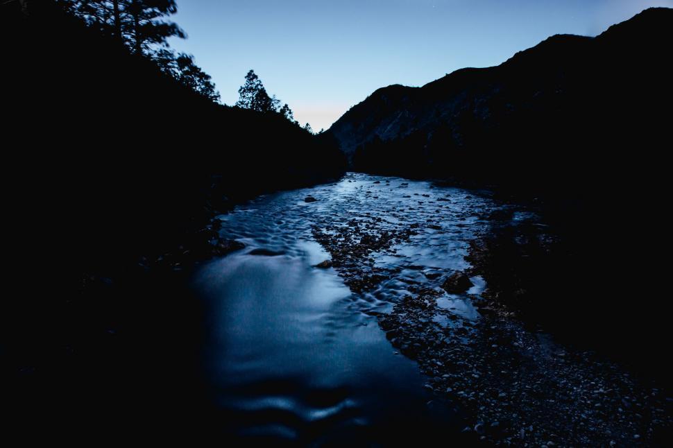 Free Image of River Flowing Through Forest at Night 