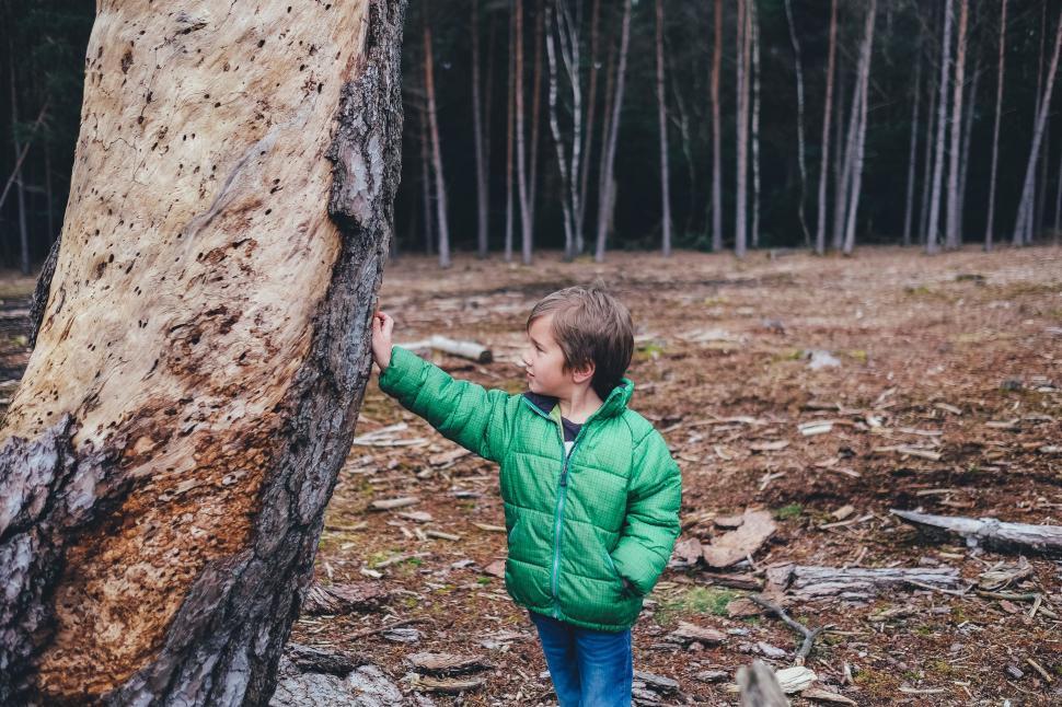 Free Image of Little Boy Standing Next to Tree in Forest 