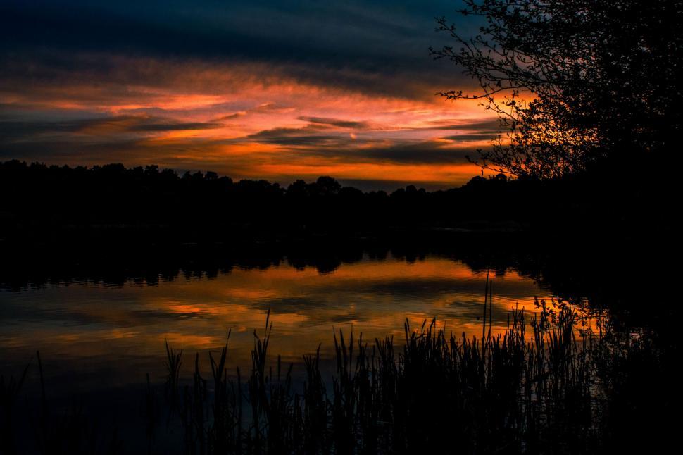 Free Image of Sunset Over Body of Water With Trees in Background 