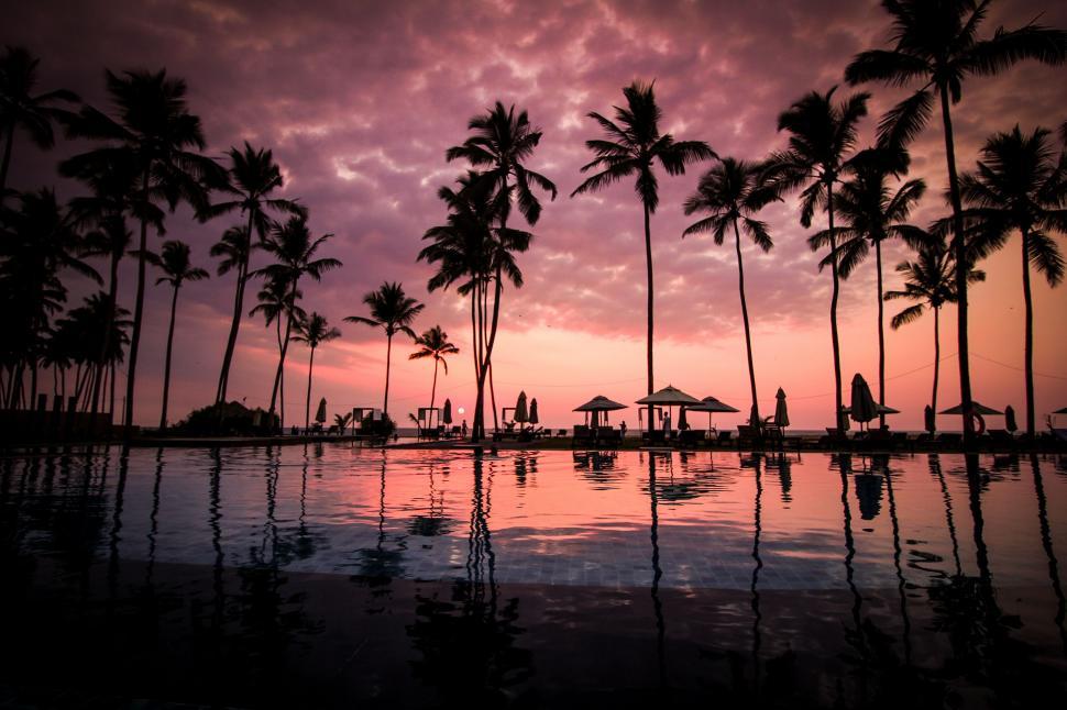 Free Image of Palm Trees Reflected in Pool at Sunset 