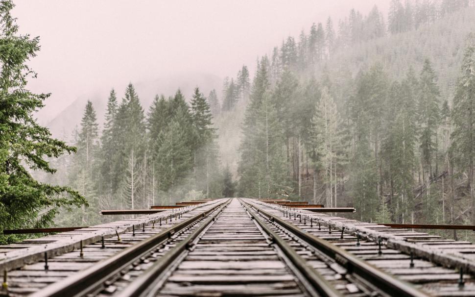 Free Image of Black and White Railroad Tracks Stretching Into the Distance 
