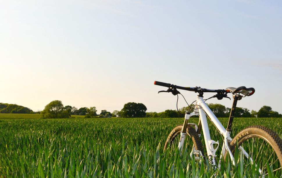 Free Image of Bike Parked in Grassy Field 