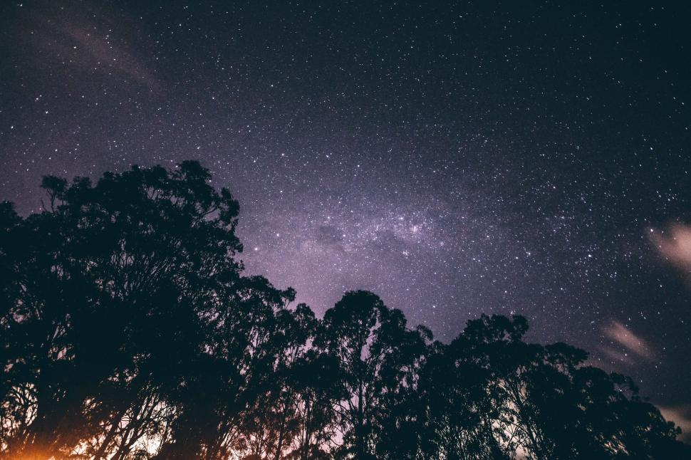 Free Image of Starry Night Sky Over Trees 