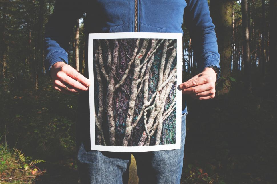 Free Image of Man Holding Picture of Trees in Woods 