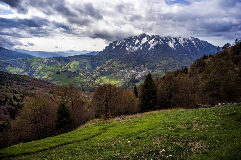 Free Image of Grassy Field With Trees and Mountains 