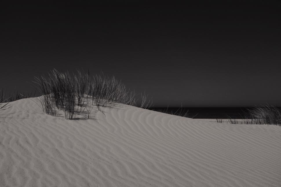 Free Image of Black and White Photo of Sand Dunes 