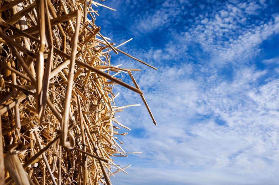 Free Image of Large Pile of Straw on Beach 