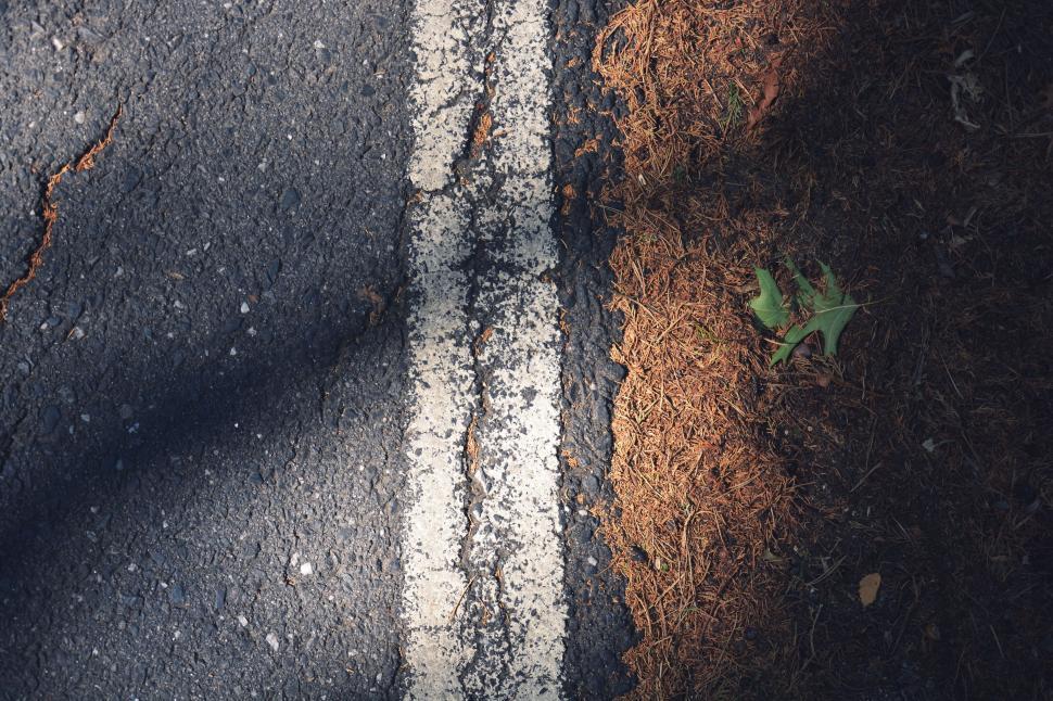Free Image of Close Up of Street With Grass and Dirt 