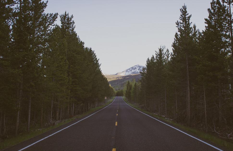 Free Image of Empty Road Surrounded by Trees With Mountain in Background 