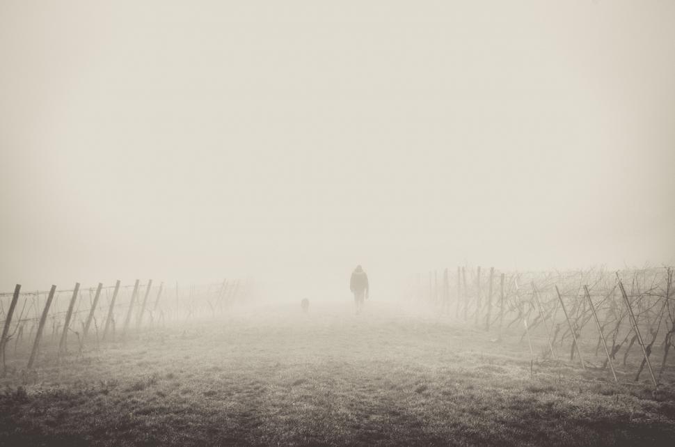 Free Image of Person Walking in Foggy Field 