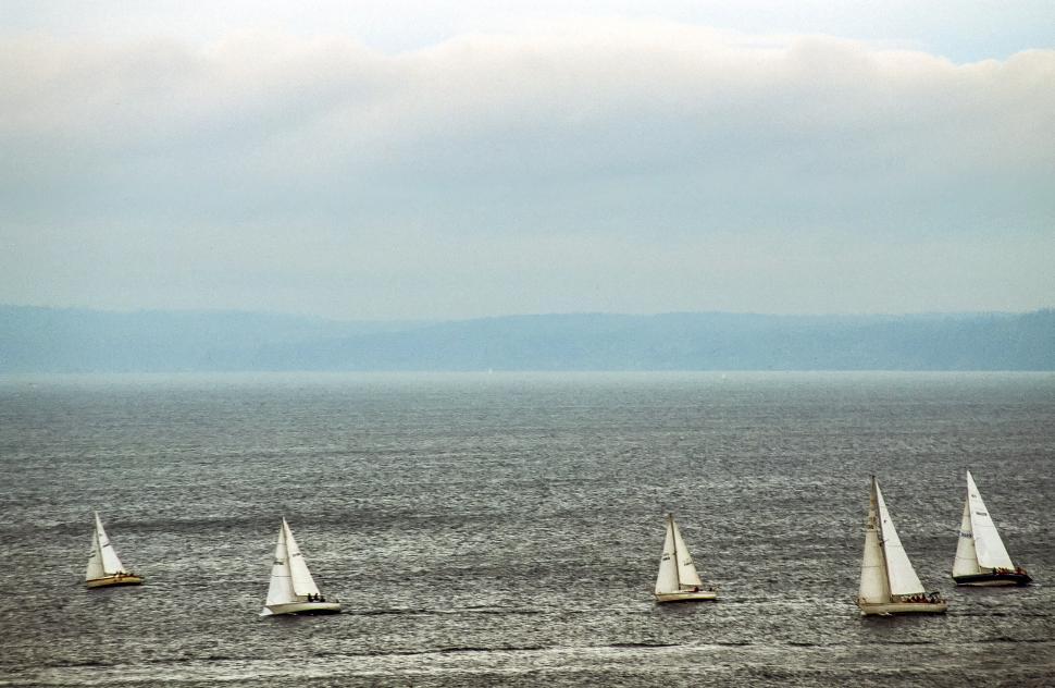 Free Image of Group of sailboats 
