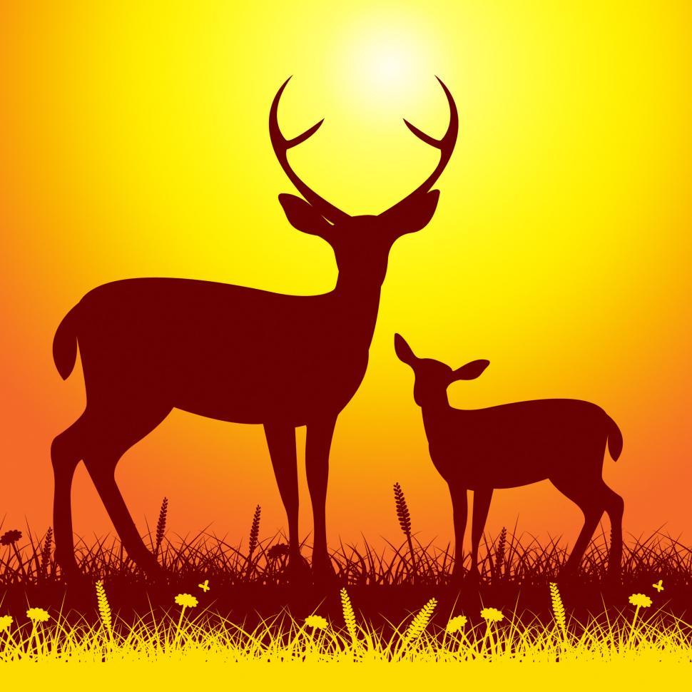 Free Image of Deer Wildlife Shows Nature Reserve And Animal 