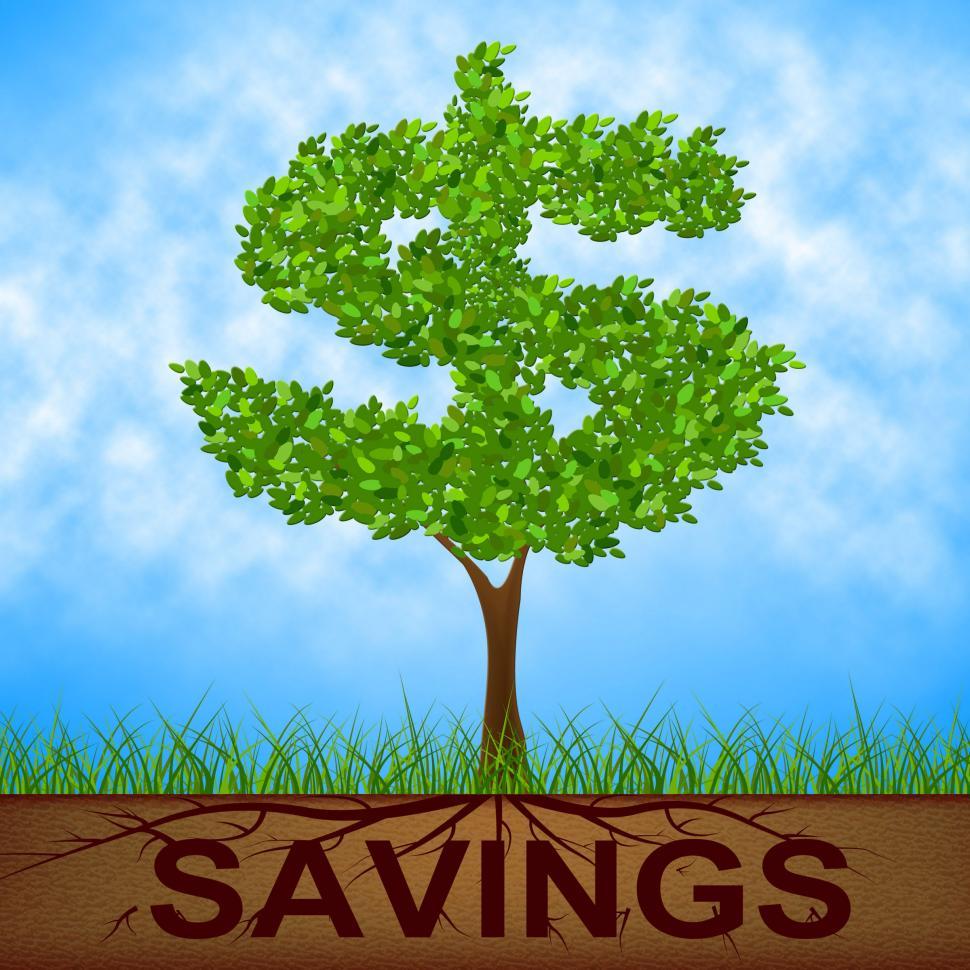 Free Image of Savings Tree Shows United States And Banking 