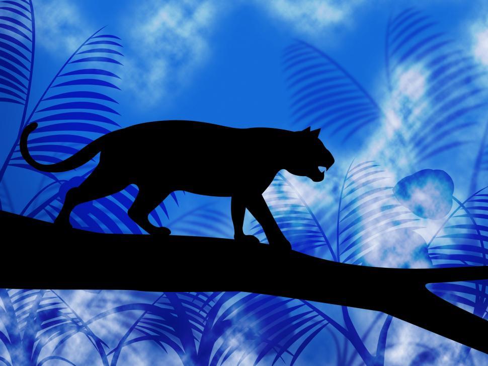 Free Image of Tiger On Tree Indicates Jungle Animals And Cat 