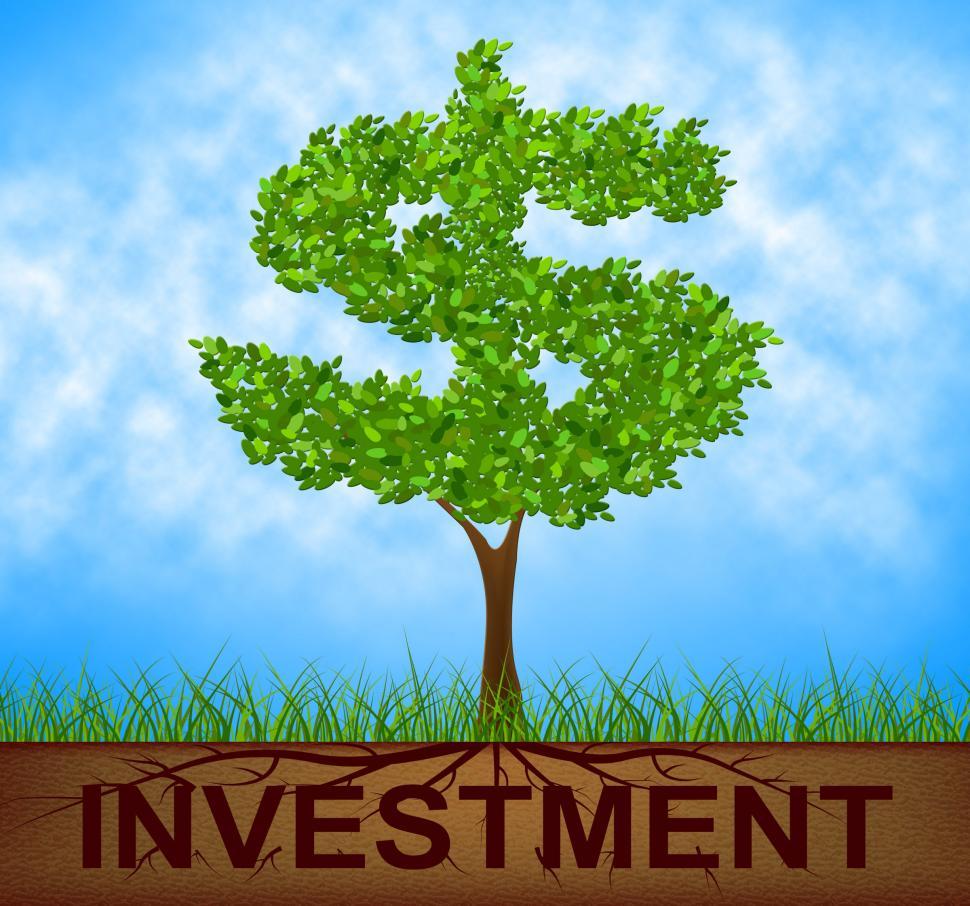Free Image of Investment Tree Indicates American Dollars And Branch 