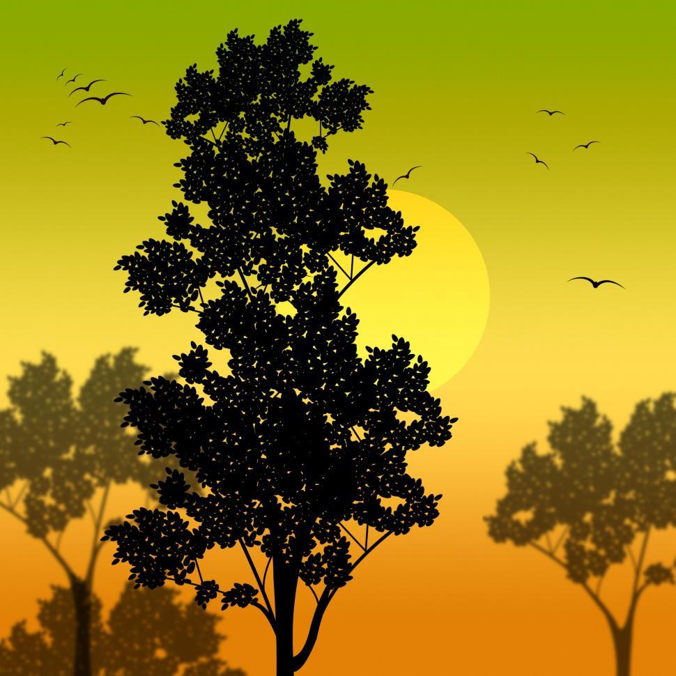 Free Image of Countryside Sunset Represents Scene Meadows And Reforestation 