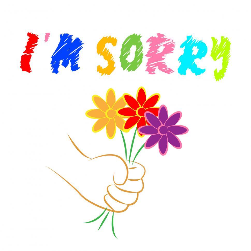 Free Image of I m Sorry Flowers Shows Apologise Remorse And Apologize 