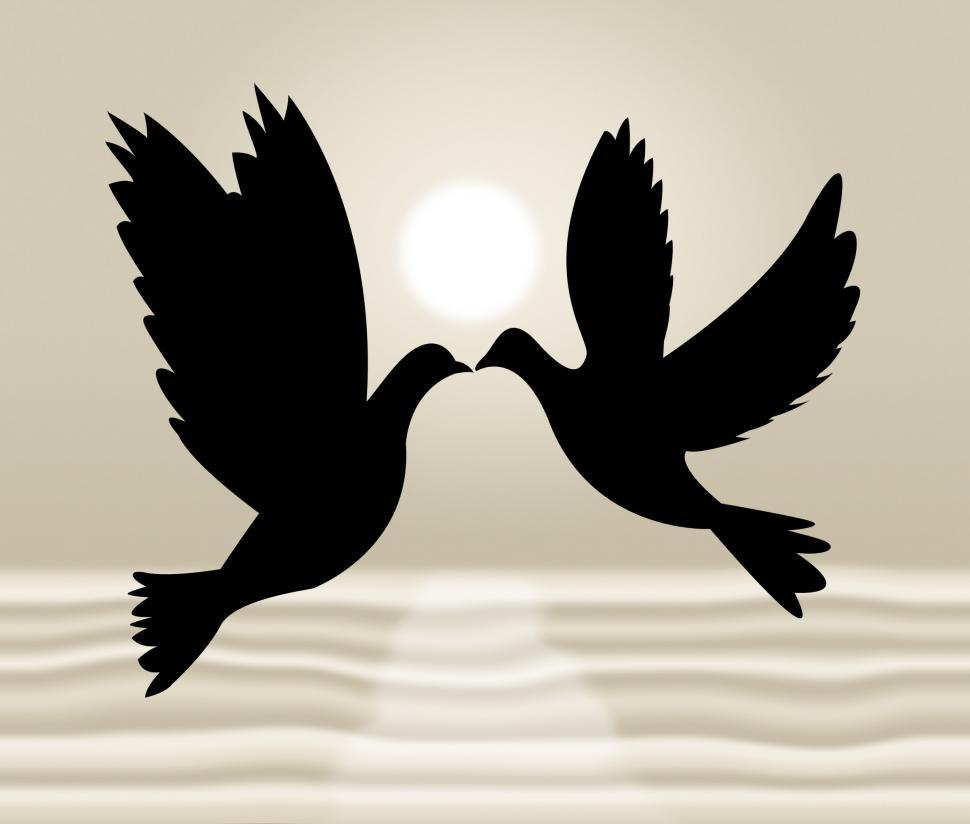 Free Image of Peace Doves Shows Flock Of Birds And Wildlife 