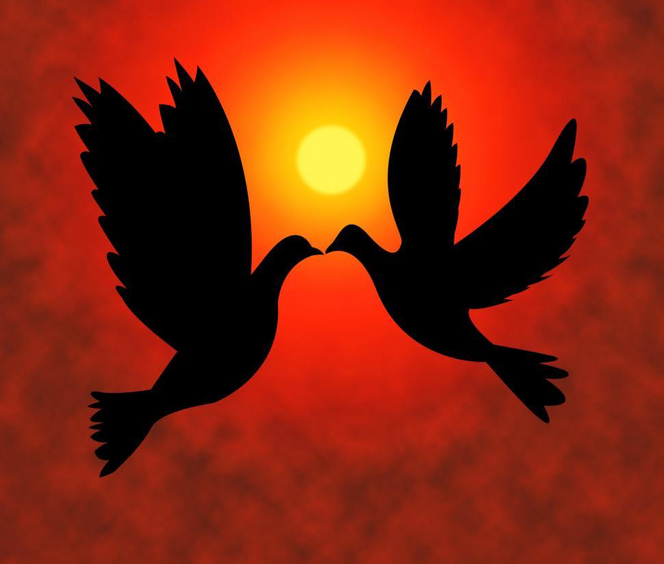 Free Image of Peace Doves Represents Flock Of Birds And Pacifist 