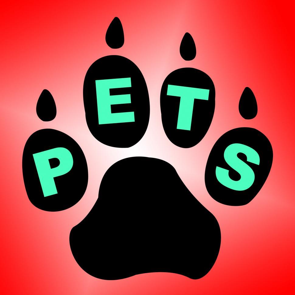 Free Image of Pets Paw Means Domestic Animal And Breed 