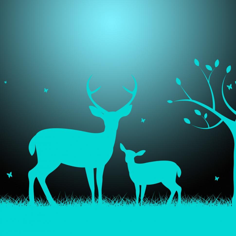 Free Image of Deer Wildlife Indicates Night Time And Darkness 