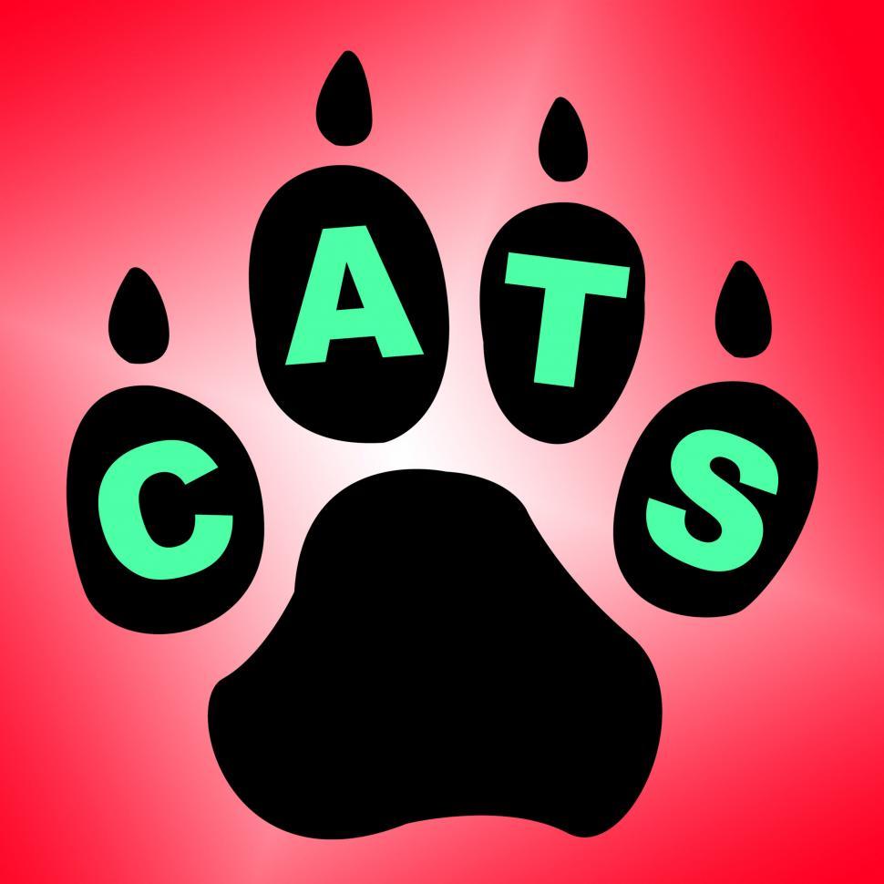 Free Image of Cats Paw Shows Pet Services And Feline 