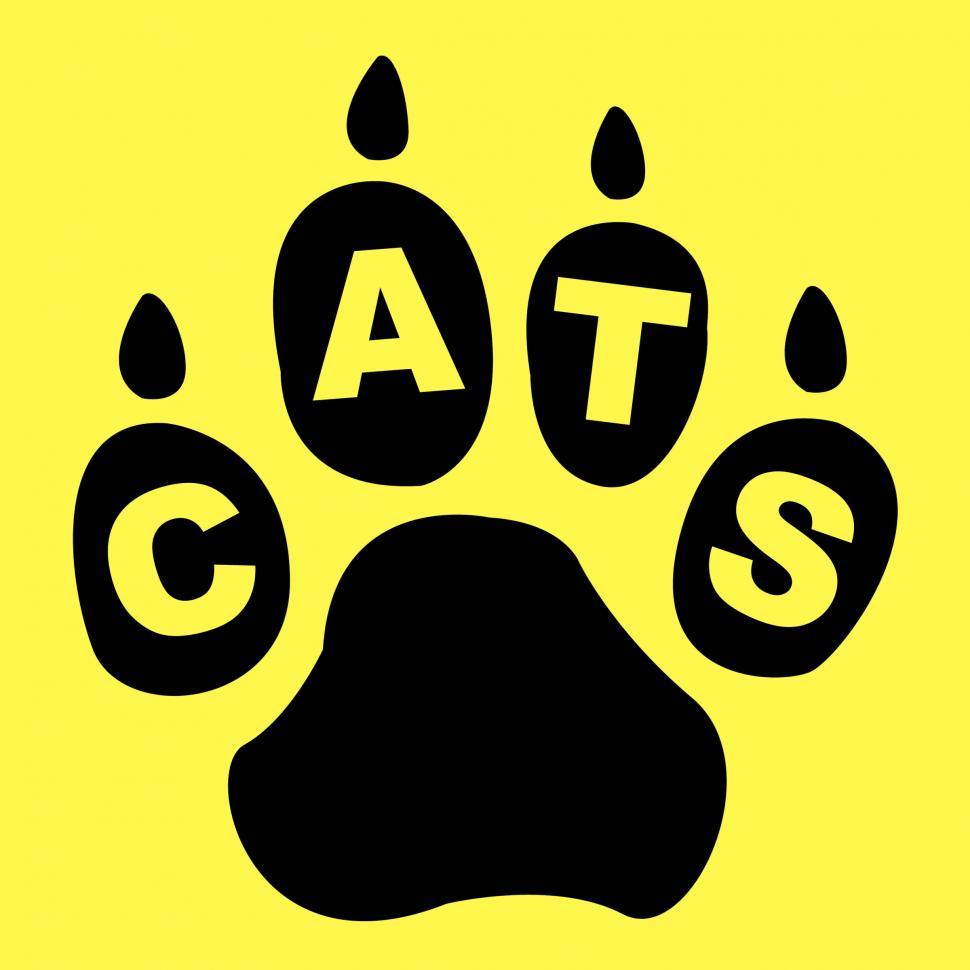 Free Image of Cats Paw Represents Pet Care And Feline 