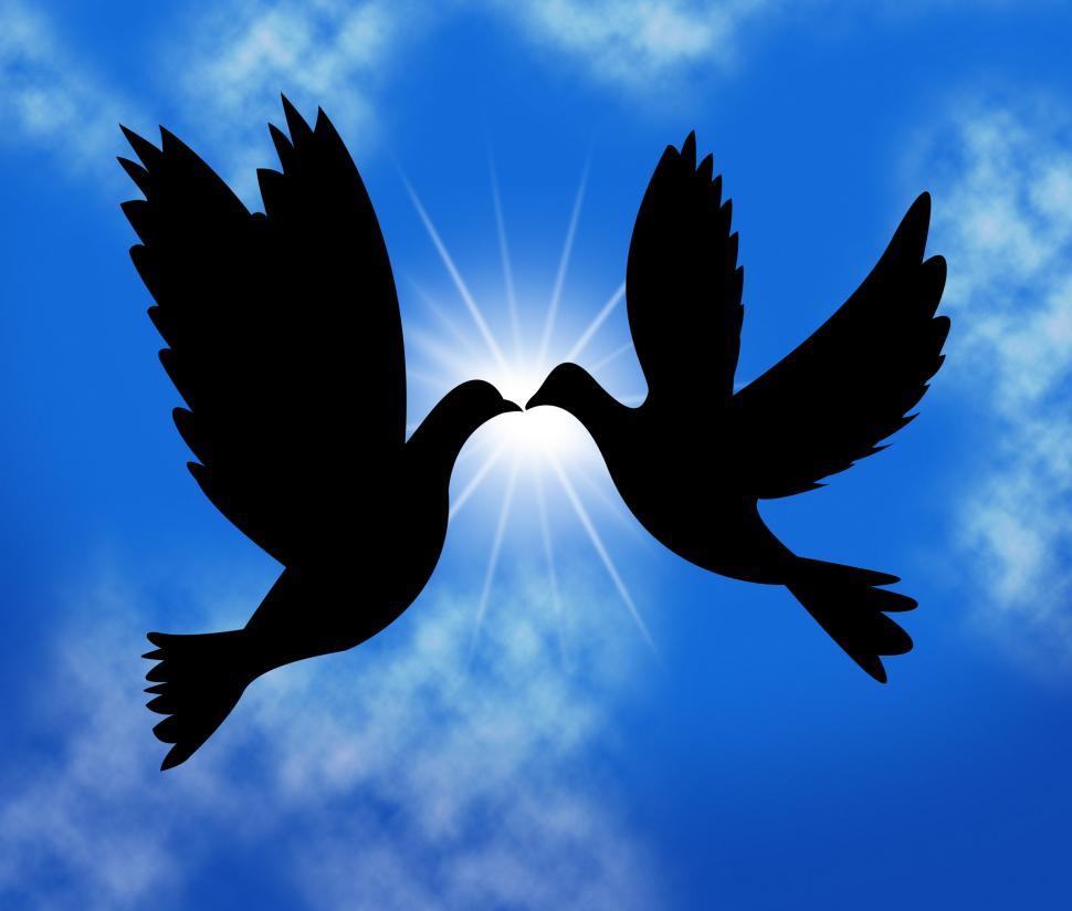 Free Image of Peace Doves Indicates Flock Of Birds And Wildlife 