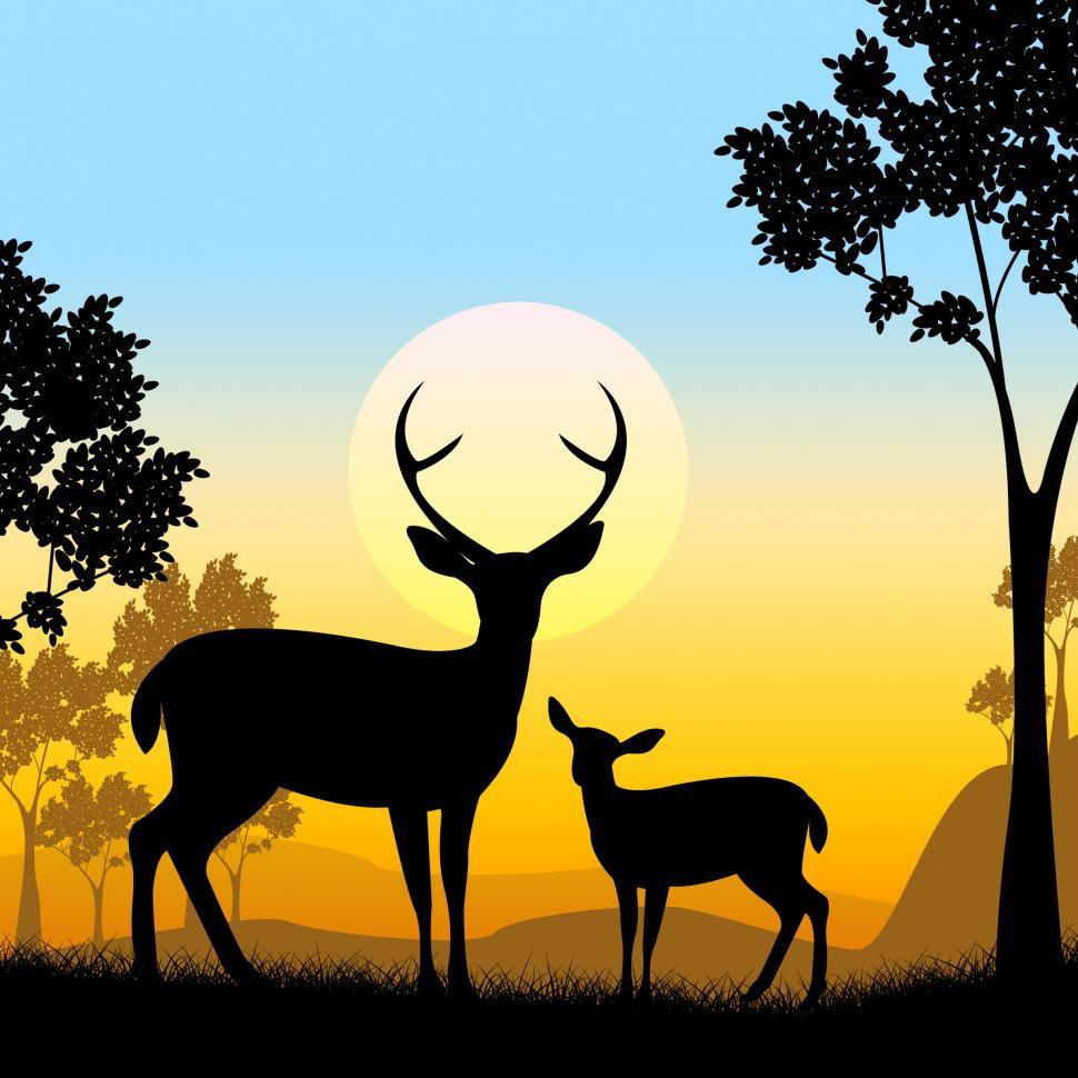 Free Image of Deer Wildlife Indicates Safari Animals And Evening 