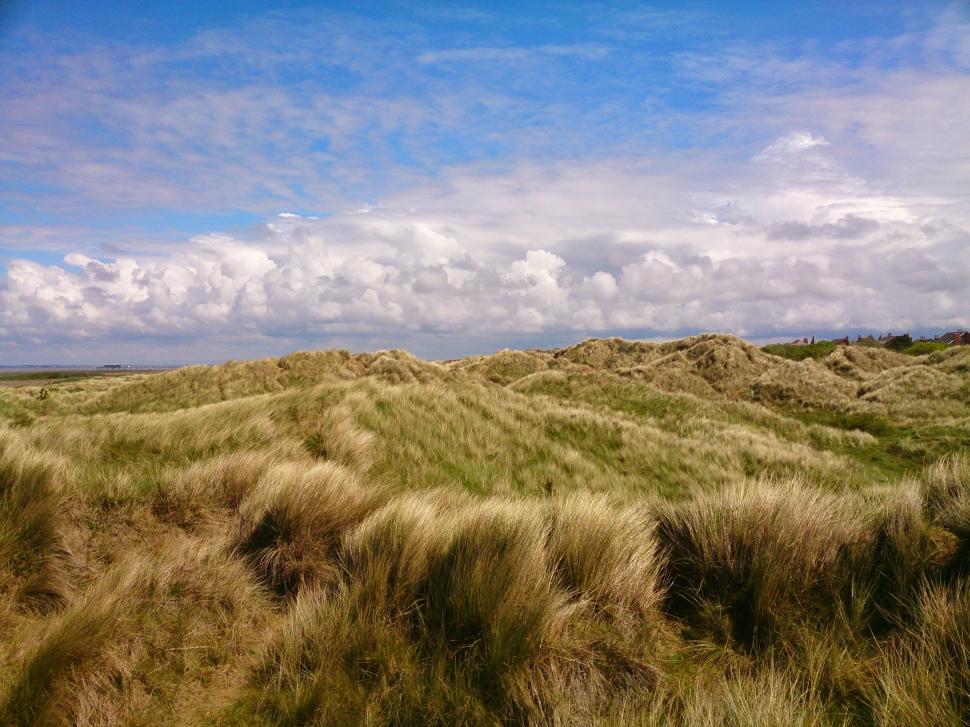 Free Image of Sand dunes and beach   