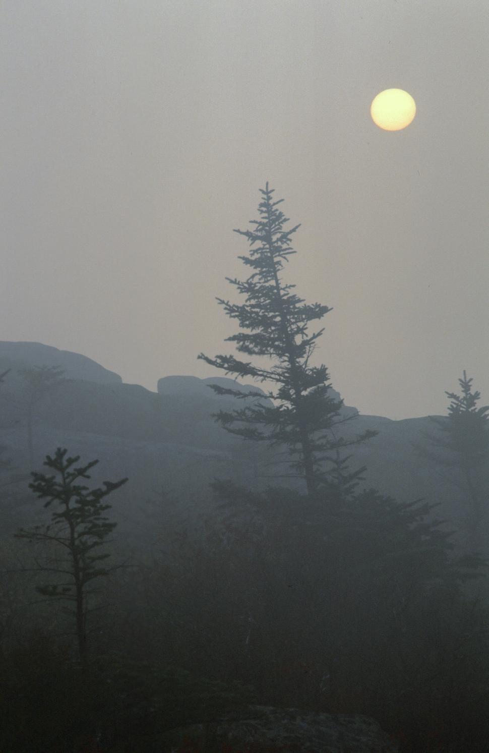 Free Image of Sunrise Haze 